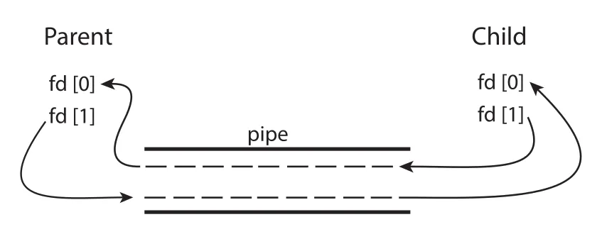 Ordinary pipe file descriptors
