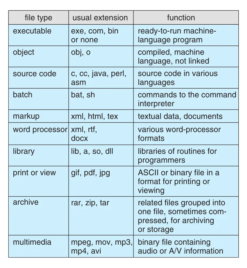 Common file types