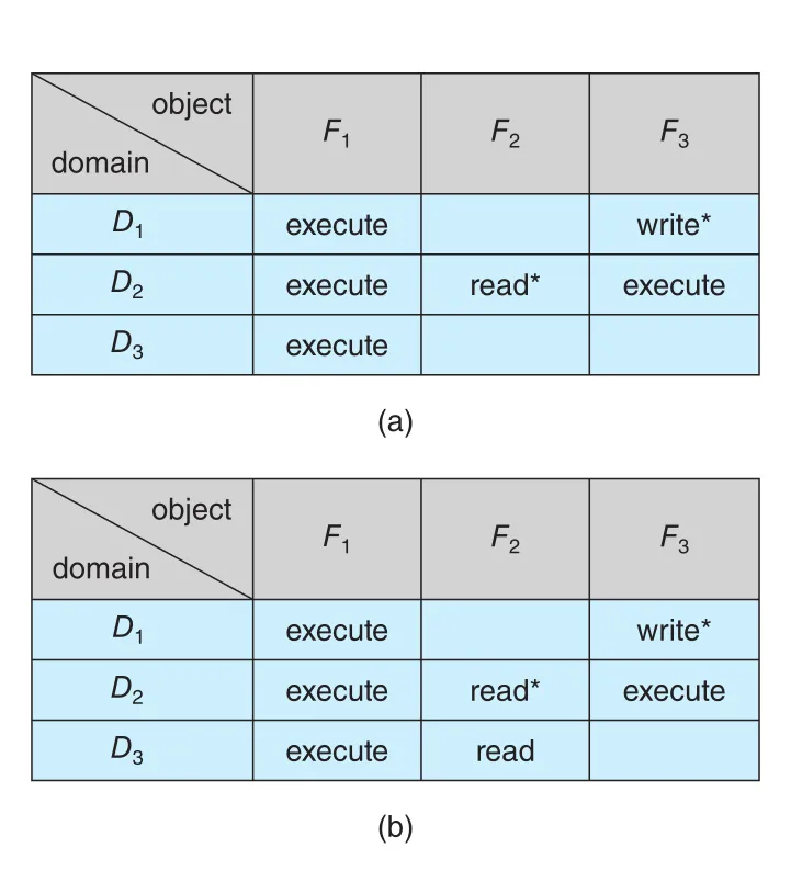 Access matrix with copy rights