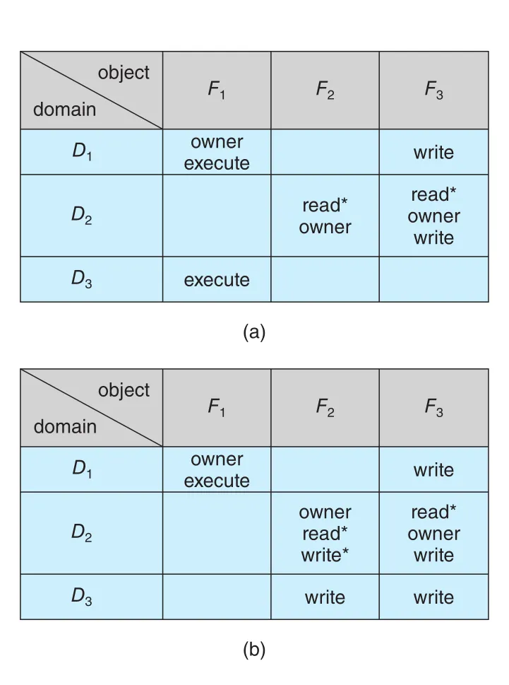 Access matrix with owner rights