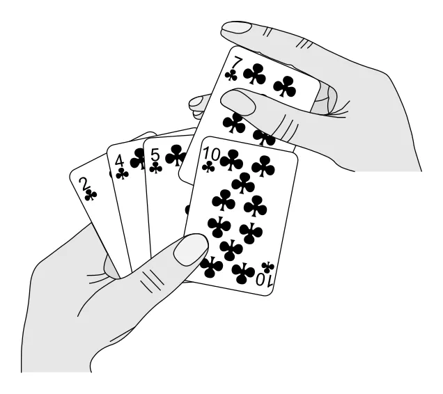 Figure 2.1